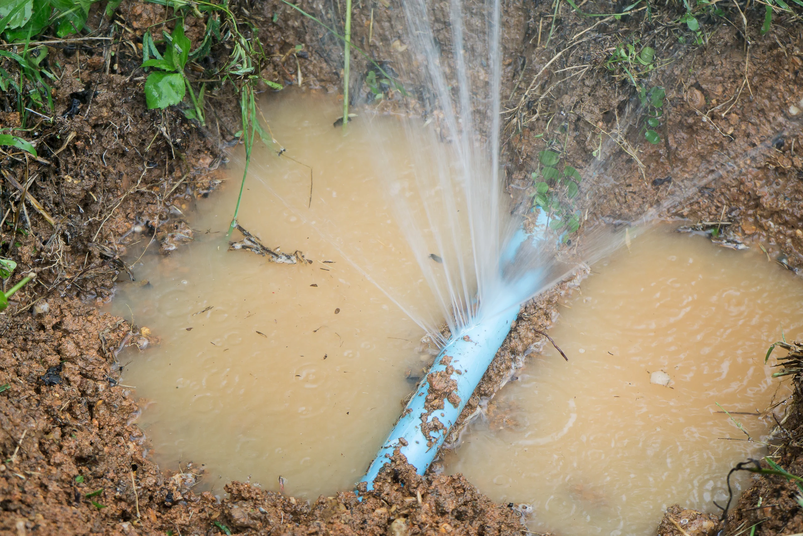 tuyau d'eau fuyant par plusieurs jets. Le tuyau étant presque immergé par l'eau autour de lui.