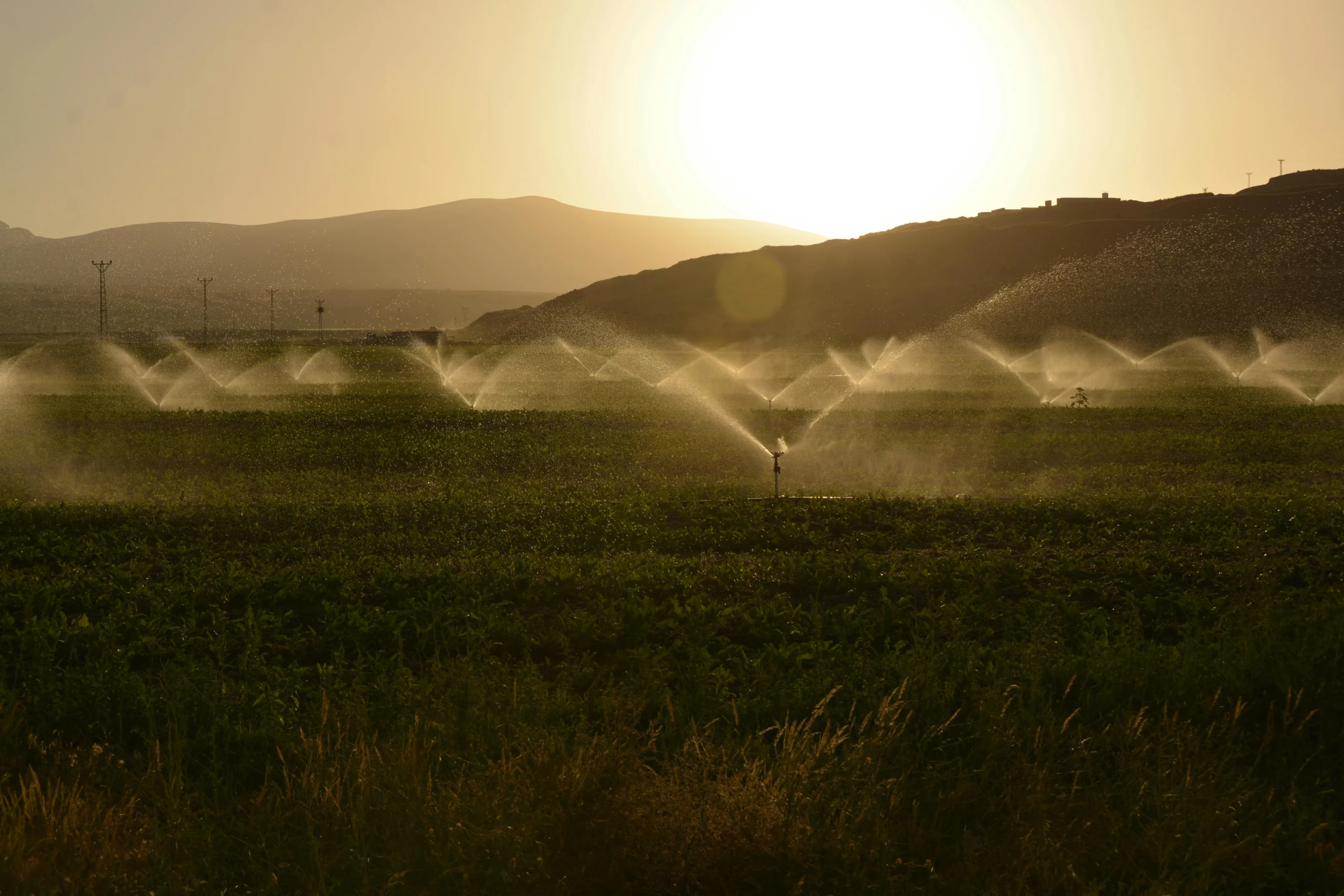 champs avec systèmes d'irrigation à l'heure dorée